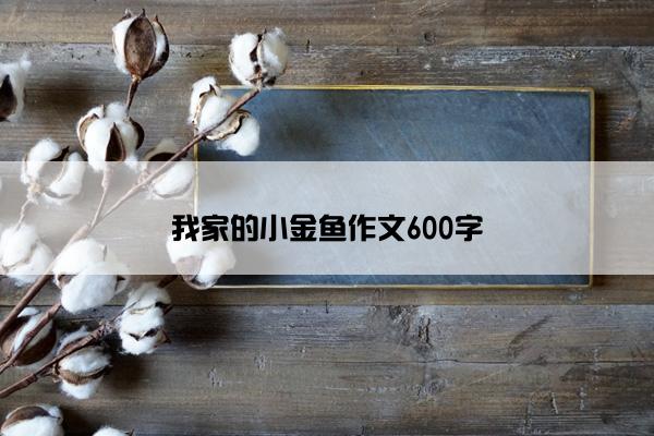 我家的小金鱼作文600字