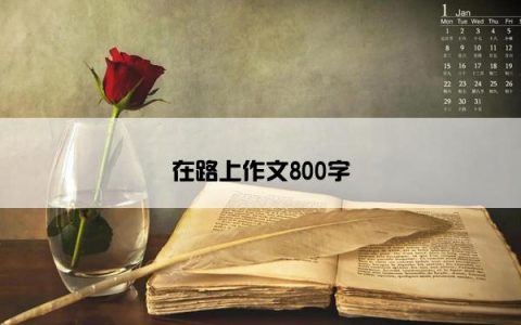 在路上作文800字