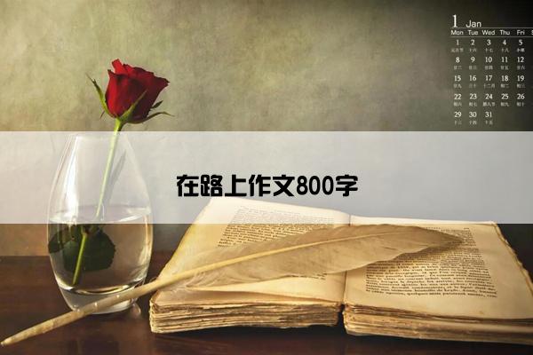 在路上作文800字