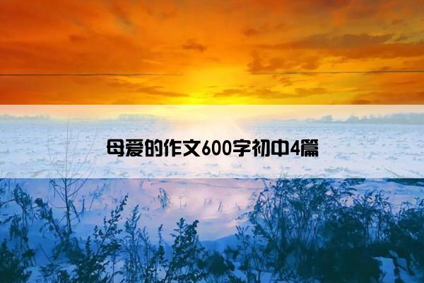 母爱的作文600字初中4篇