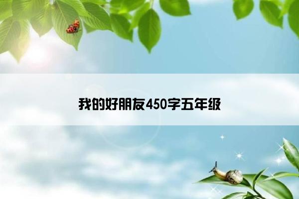 我的好朋友450字五年级