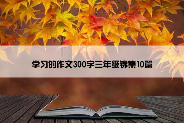 学习的作文300字三年级锦集10篇