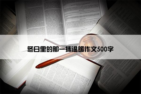 冬日里的那一抹温暖作文500字