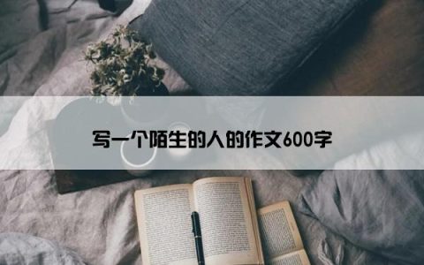 写一个陌生的人的作文600字