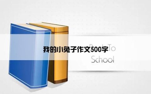 我的小兔子作文500字