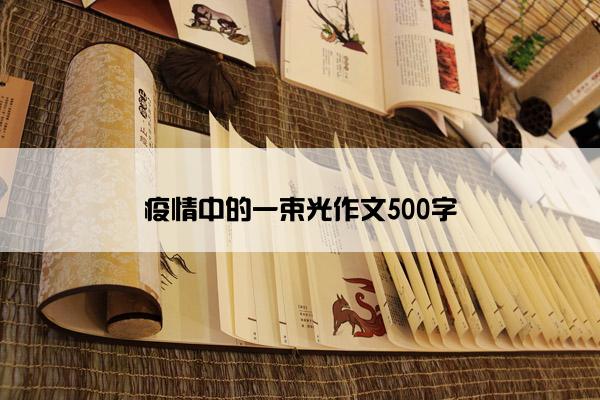 疫情中的一束光作文500字