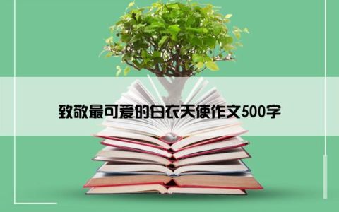 致敬最可爱的白衣天使作文500字