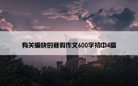 有关愉快的寒假作文600字初中4篇