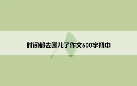 时间都去哪儿了作文600字初中