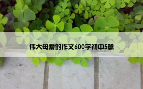 伟大母爱的作文600字初中5篇