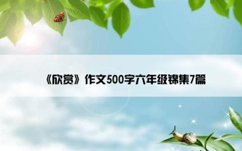 《欣赏》作文500字六年级锦集7篇