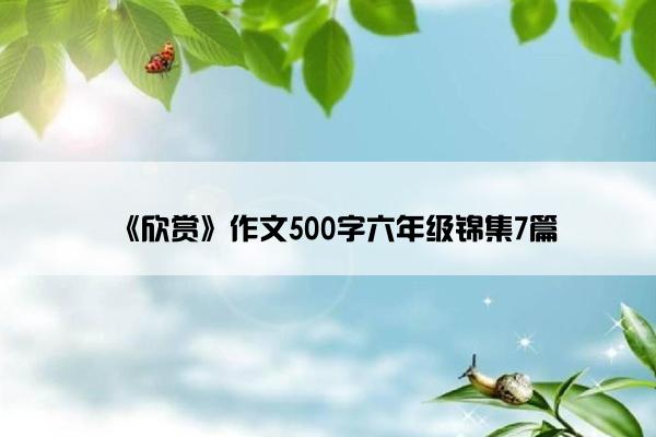 《欣赏》作文500字六年级锦集7篇