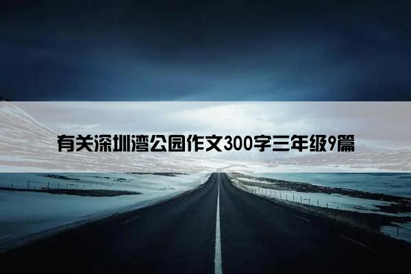 有关深圳湾公园作文300字三年级9篇