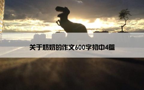 关于奶奶的作文600字初中4篇