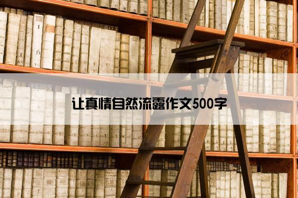 让真情自然流露作文500字