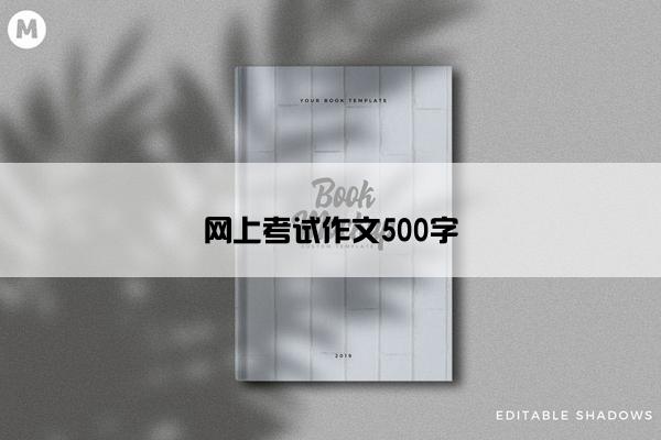 网上考试作文500字