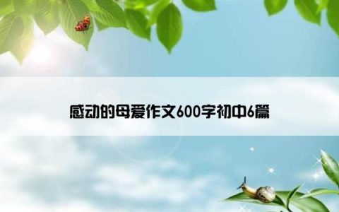 感动的母爱作文600字初中6篇