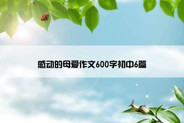 感动的母爱作文600字初中6篇