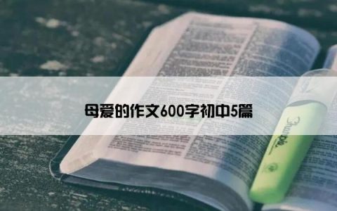 母爱的作文600字初中5篇
