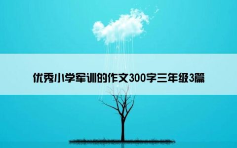 优秀小学军训的作文300字三年级3篇