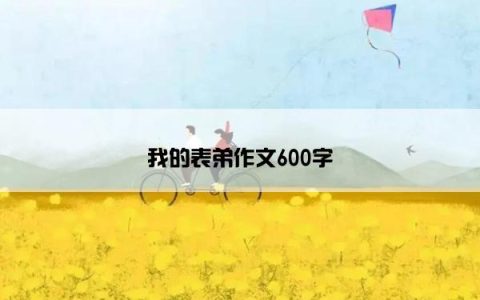 我的表弟作文600字