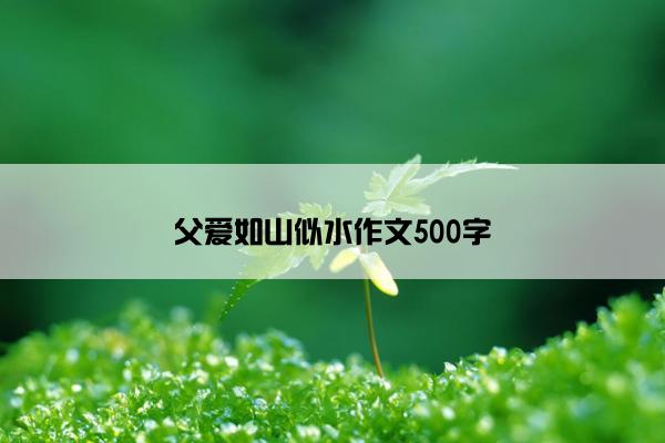 父爱如山似水作文500字