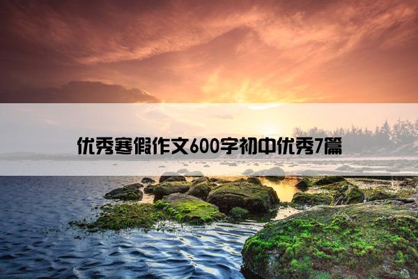 优秀寒假作文600字初中优秀7篇