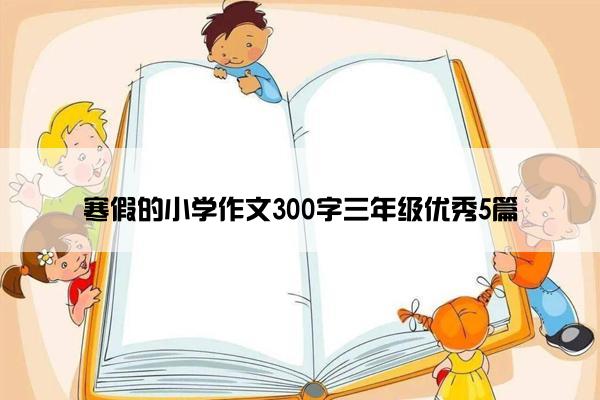 寒假的小学作文300字三年级优秀5篇