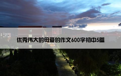 优秀伟大的母爱的作文600字初中5篇