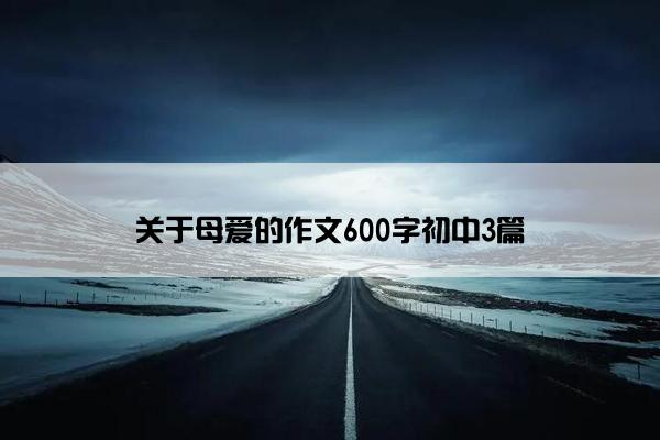 关于母爱的作文600字初中3篇