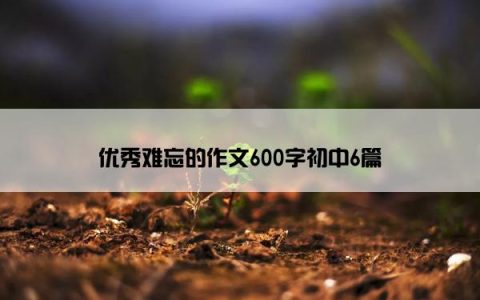 优秀难忘的作文600字初中6篇