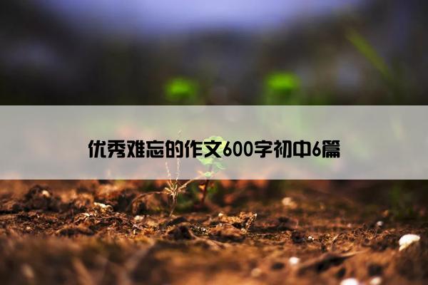 优秀难忘的作文600字初中6篇