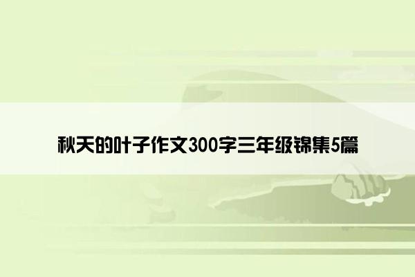 秋天的叶子作文300字三年级锦集5篇