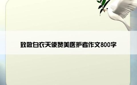 致敬白衣天使赞美医护者作文800字