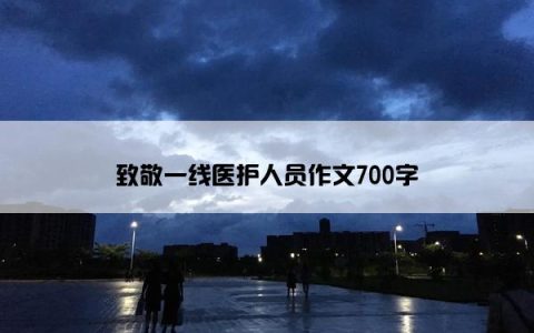致敬一线医护人员作文700字