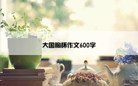 大国胸怀作文600字