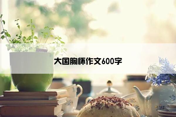 大国胸怀作文600字