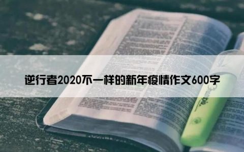 逆行者2020不一样的新年疫情作文600字