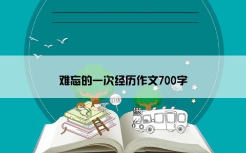 难忘的一次经历作文700字