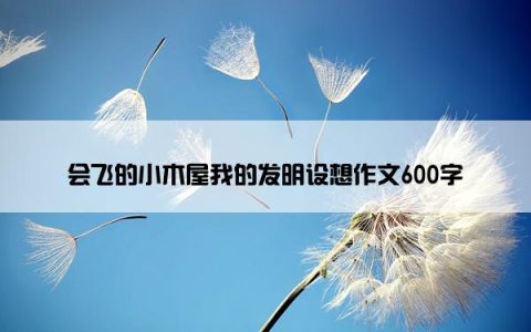 会飞的小木屋我的发明设想作文600字