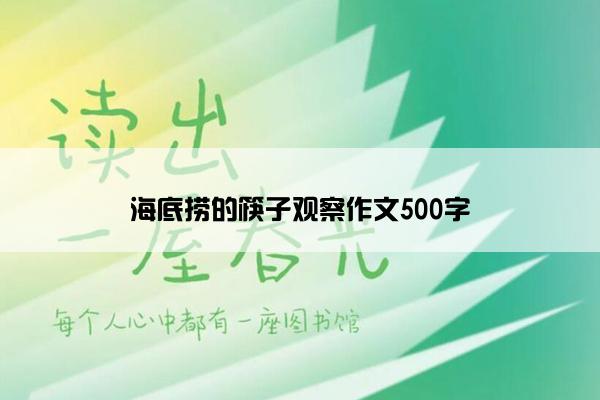 海底捞的筷子观察作文500字