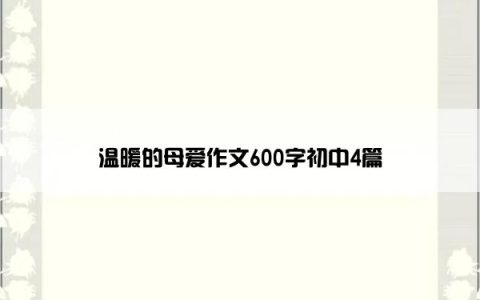 温暖的母爱作文600字初中4篇