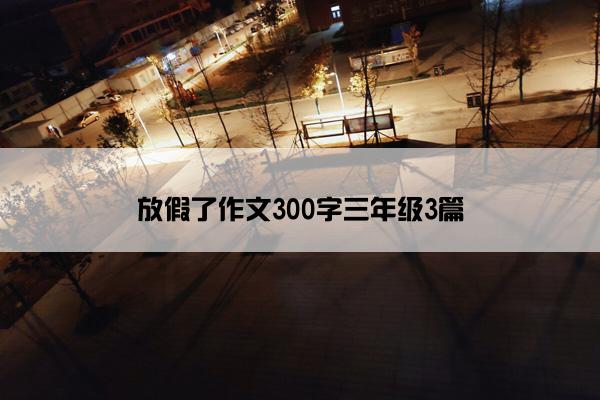 放假了作文300字三年级3篇