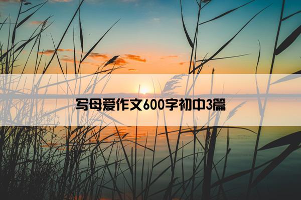 写母爱作文600字初中3篇