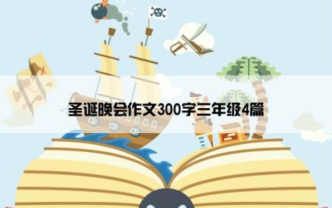 圣诞晚会作文300字三年级4篇