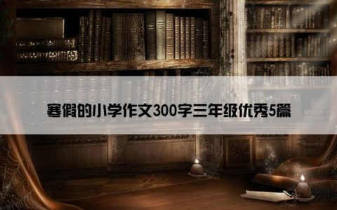 寒假的小学作文300字三年级优秀5篇