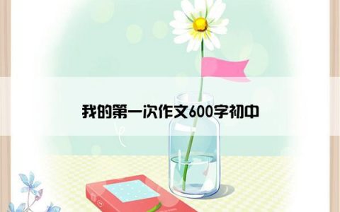 我的第一次作文600字初中