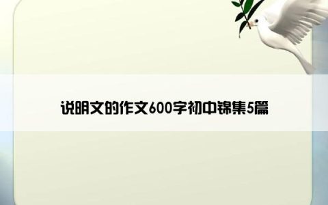 说明文的作文600字初中锦集5篇