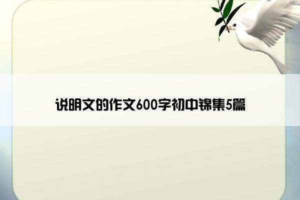 说明文的作文600字初中锦集5篇