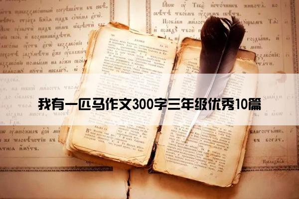 我有一匹马作文300字三年级优秀10篇